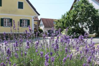 Farmer-Rabensteiner - Bad Gams - 0