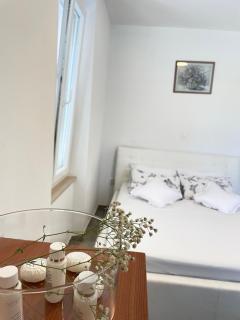 Apartment Zane Bacvice - 4