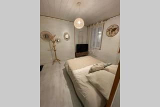Le Cocoon - 2mn gare SNCF, hyper centre, WIFI-NETFLIX - Niort - 4