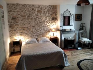 Maison de ville au pied de la Montagne Noire - Mazamet - 8