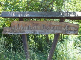 Steurer Hof - Liebenfels - 7