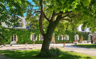 La Tilia - Saint-Riquier - 9
