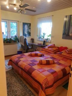 Luxus Ferienwohnung - Pfungstadt - 1
