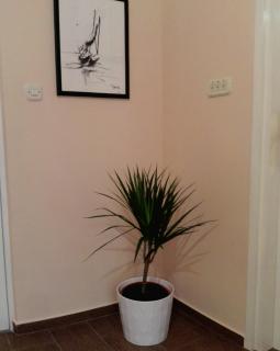 Kolombo Apartment - Jadrija - 9