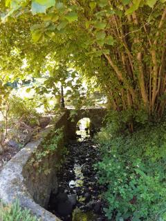 Grand gîte dans son écrin de Nature - 5