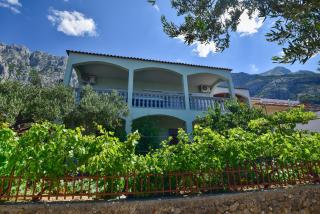 Apartment Maslina - Makarska - 9