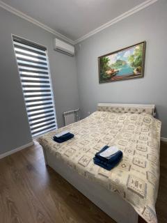 Amir Temur Apartment in center After renovation - Tashkent - 0