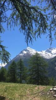 Haus Valaisia - Randa bei Zermatt - Randa - 1