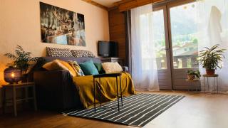 Appartement vue Montblanc 5mn piste1 - 2