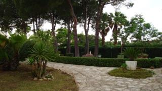 Rosamarina - Ostuni - 5