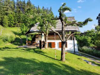 Natur pur Pikovo - Črna na Koroškem - 6