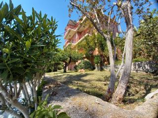 Stefanos Studios - Lassi - 5