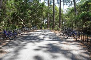 Remodeled Cottage on Sparrow Pond, Walk to Beach! - 7