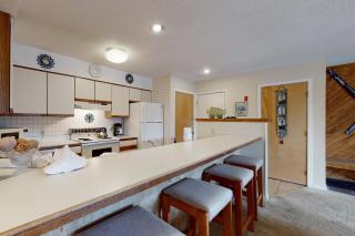 Okemo Mountain Condo - Ludlow - 6