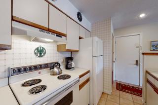 Okemo Mountain Condo - Ludlow - 4