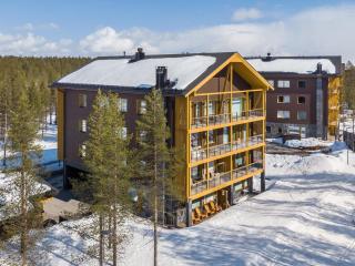 Holiday Home Tunturinlaita c 9- 2 skipasses are inclu by Interhome - Levi - 8