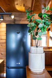 River house Vasa - Belgrade - 4