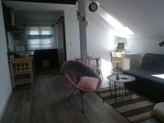 Studio apartman HANA - Drežnik Grad - 8