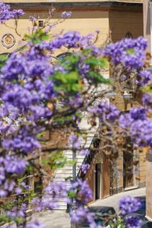 Castello House - Cagliari - 1