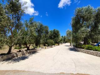 Villa Rosy - Vieste - 1