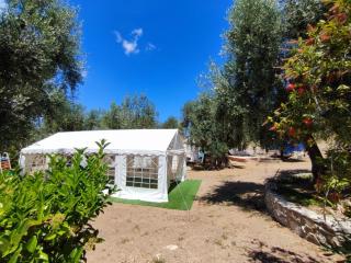 Villa Rosy - Vieste - 2