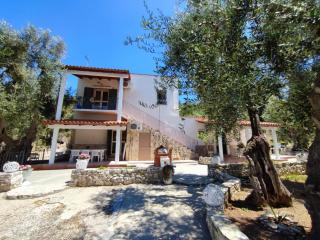 Villa Rosy - Vieste - 0