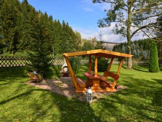 Apartment in Rauschenbach Saxony near Forest - Neuhausen - 8