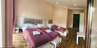 Hotel Ramaz Paliani - Mestia - 3