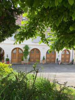 La Maison des Fontaines d'Alsace - Ferrette - 2
