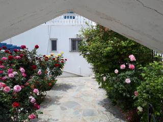 Roula's Studios - Andros - 7