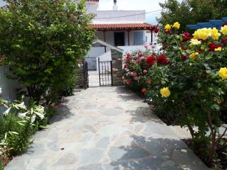 Roula's Studios - Andros - 6