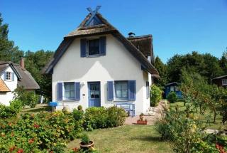 Hagebutte - Am Schwarzen Busch - 0