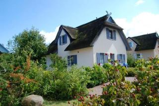 Hagebutte - 9