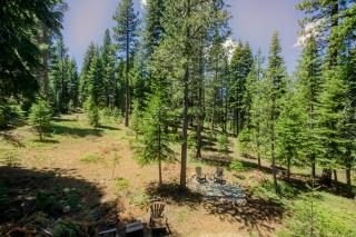 Truckee Treat - Truckee - 8