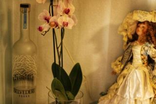 Viktoria's apartment in the center of Parga - 7