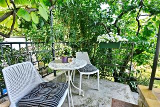 Apartments Pierina - Novigrad - 4