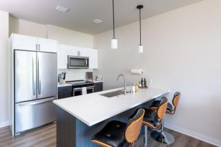 East Side Luxury 1BR Apt - Near Brady St with Balcony and Lounge - 3