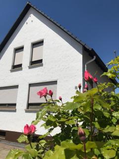 Ferienhaus Riesling - Hassloch - 0