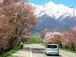 Pension Hoshi Ni Negaiwo - Furano - 6