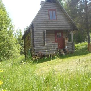 Pähnamäe metsamajake - Ruusmäe - 9