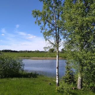 Pähnamäe metsamajake - 2