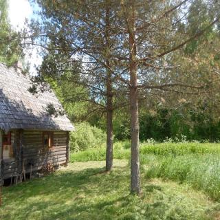 Pähnamäe metsamajake - Ruusmäe - 0