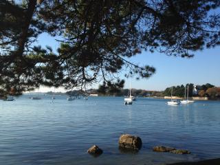 CENTRE Appt 2 Chambres, Linge, Parking, Wifi - Vannes - 2