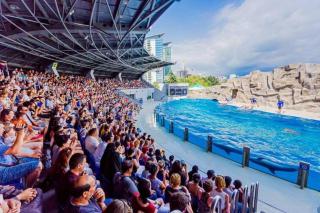 'Mint Fresh' Summer Studio in Batumi City Center - 1