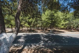 Park-view Lux Pool Villa, steps to the Beach - 4