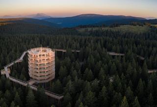 Apartma Svizec Rogla - 1