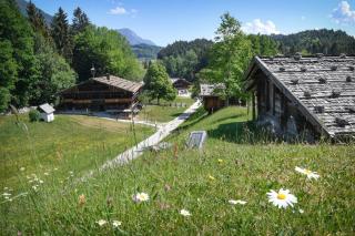 Schlossbergblick - Radfeld - 7