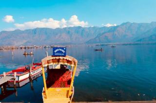 Umbrella group of House Boat - Srinagar - 5