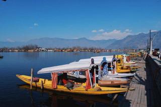 Umbrella group of House Boat - Srinagar - 6