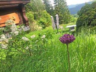 Reich an Himmel - Himmelsreich - Villa in den Bergen auf 1050m - 4